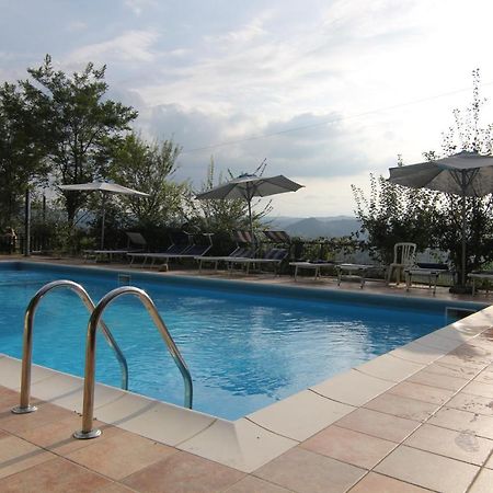 Agriturismo Ca' Isotta 카스텔로 디 세라발레 외부 사진