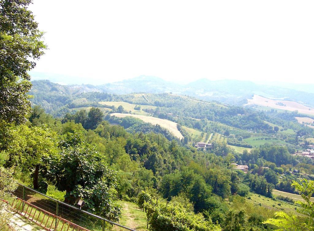 Agriturismo Ca' Isotta 카스텔로 디 세라발레 외부 사진