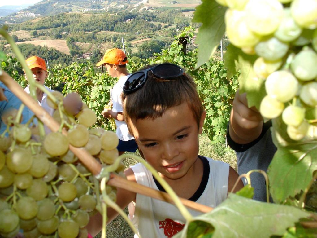 Agriturismo Ca' Isotta 카스텔로 디 세라발레 외부 사진